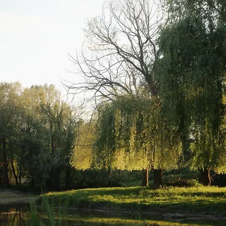 Apartament Wild&free Private